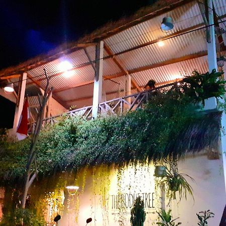 The Bodhi Tree Karimunjawa Hostel Exterior photo