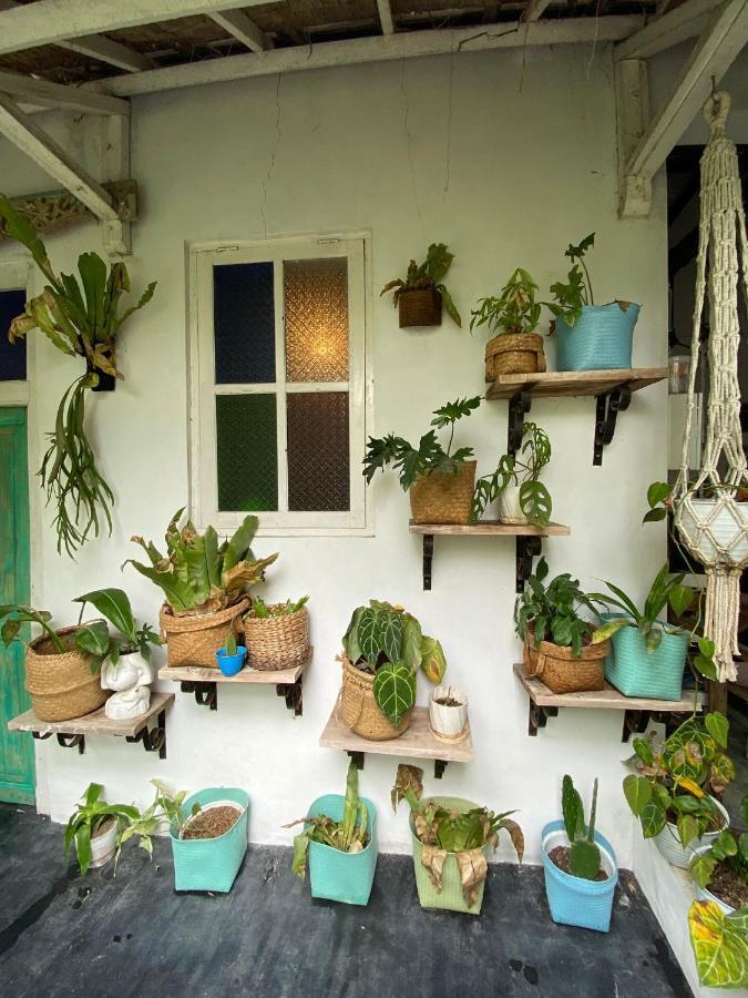 The Bodhi Tree Karimunjawa Hostel Exterior photo